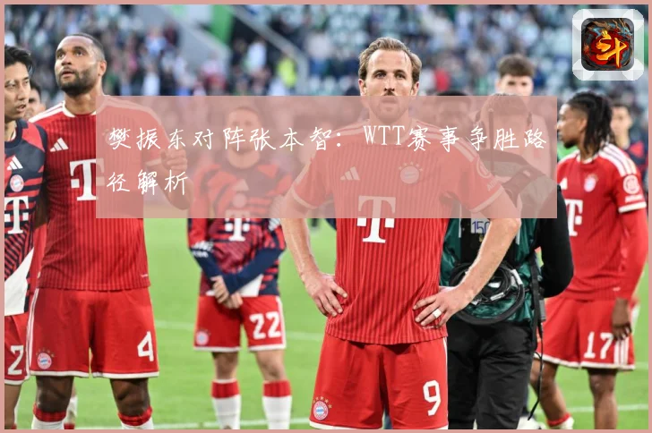 樊振东对阵张本智：WTT赛事争胜路径解析